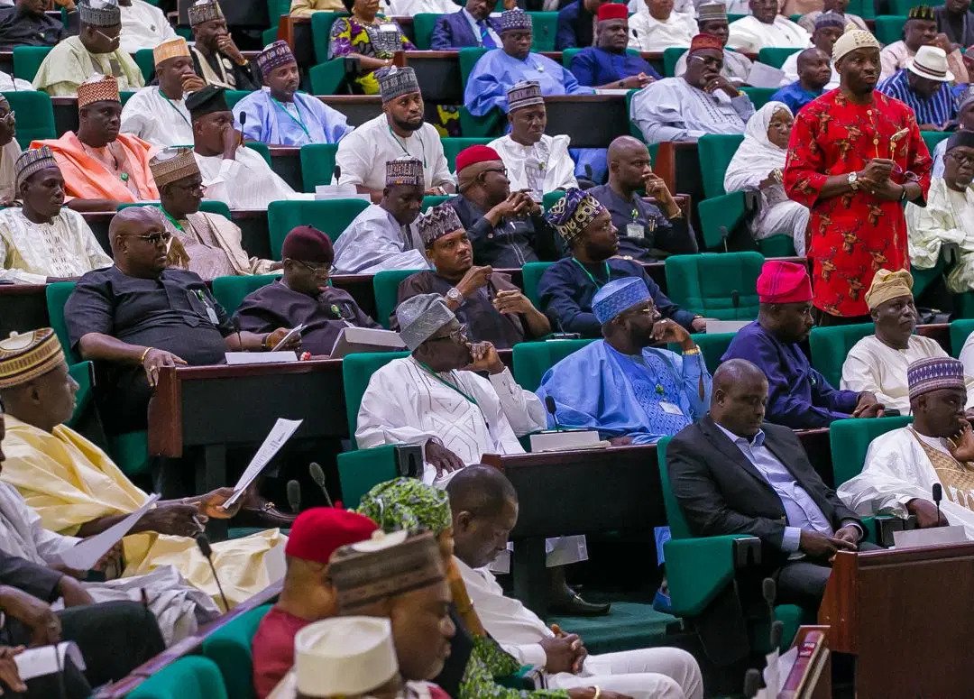 Rep. Benjamin Kalu presenting the first motion of the 9th Assembly.