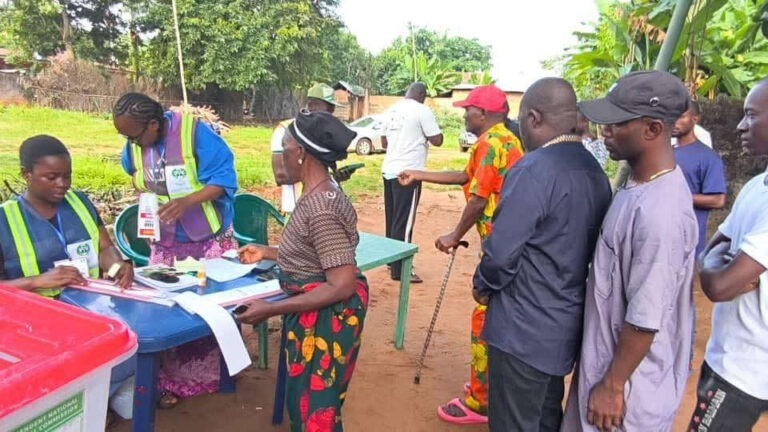 Observers, CSOs Hail INEC for Smooth and Credible Anambra Governorship Election