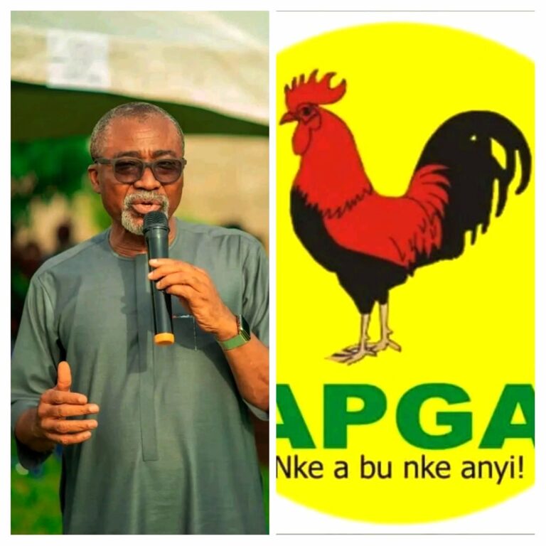 Trouble For Abaribe As APGA Denies Expelling Him