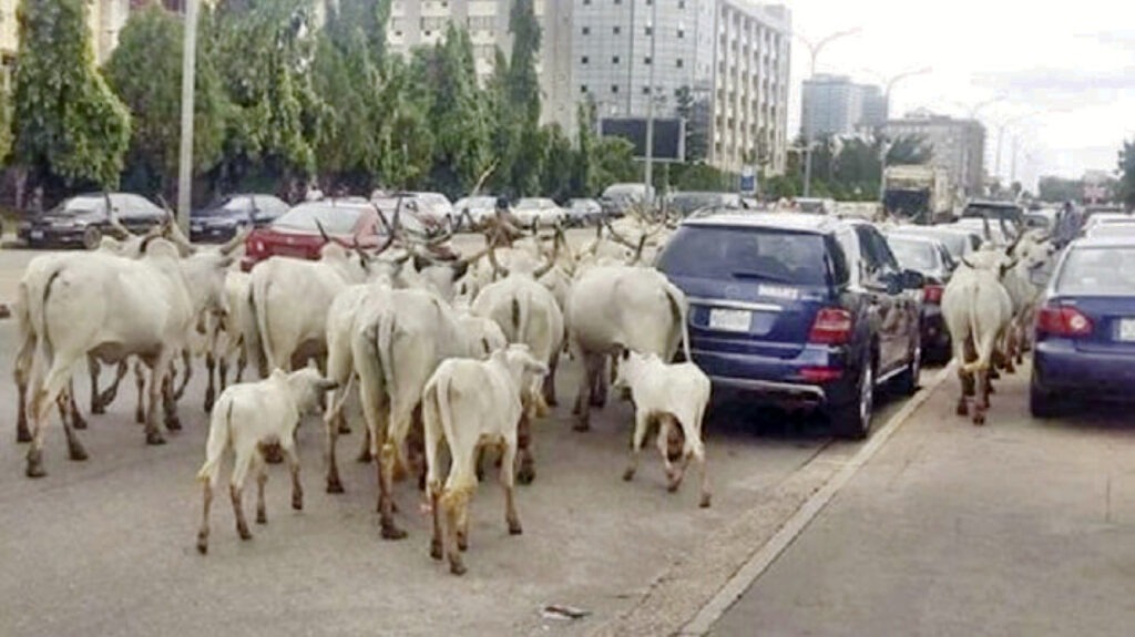 FG Identifies 470 Gazetted Reserves: Moves To Stop Open Grazing
