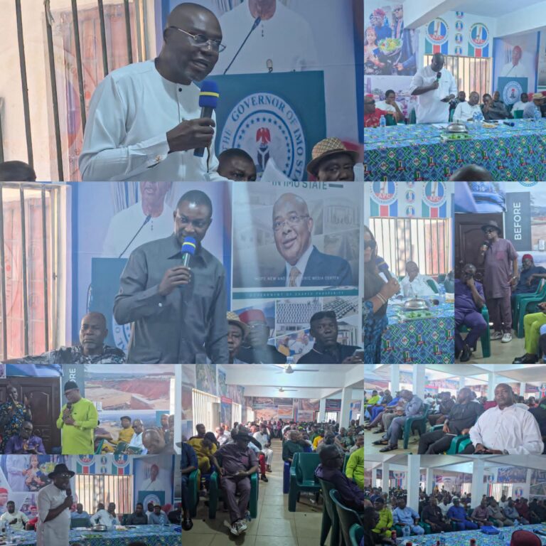 Orlu Zone Ready To Pass Governorship Baton To Owerri If Only – APC Chairman