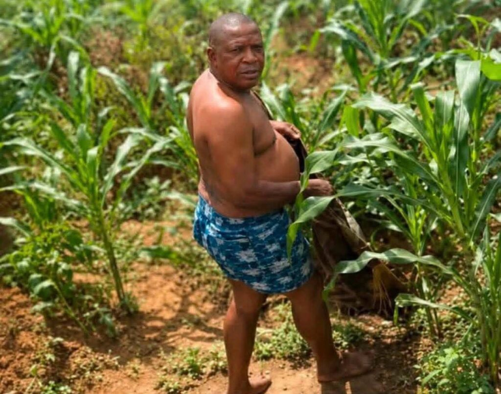 Paul University Suspends Cleric Lecturer Over Sex scandal