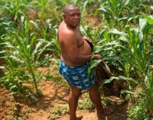 Paul University Suspends Cleric Lecturer Over Sex scandal