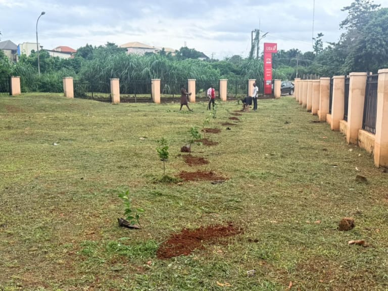 Anambra Commences 1000 Economic Trees, Flower Planting Programme In Awka